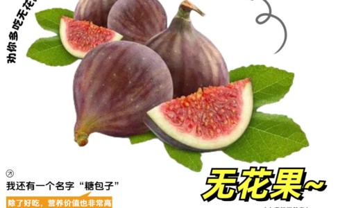 鸡冠花煮水能治痔疮吗-【治痤疮鸡冠花有用吗】鸡冠花同什么一起煲水对痔疮有好处 - 痔疮用鸡冠花治疗有效果吗网