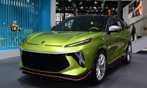 鸡冠花痔疮的功效与作用-【治痤疮鸡冠花有用吗】鸡冠花同什么一起煲水对痔疮有好处 - 痔疮用鸡冠花治疗有效果吗网