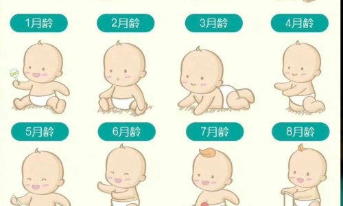 鸡冠花煮水能治痔疮吗-【治痤疮鸡冠花有用吗】鸡冠花同什么一起煲水对痔疮有好处 - 痔疮用鸡冠花治疗有效果吗网