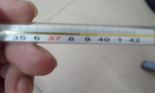 痔疮用鸡冠花治疗有效果吗视频-【治痤疮鸡冠花有用吗】鸡冠花同什么一起煲水对痔疮有好处 - 痔疮用鸡冠花治疗有效果吗网